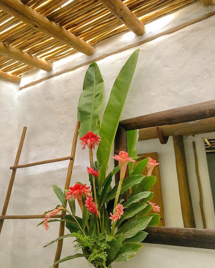 Vivertrancoso Hotel Ngoại thất bức ảnh